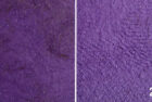 Color Swatch 24P – “Violet”