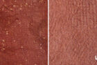 Color Swatch 45P – “Coffee”