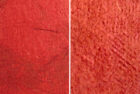 Color Swatch 5P – “Scarlet”
