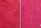 Color Swatch 61P – “Rosa”
